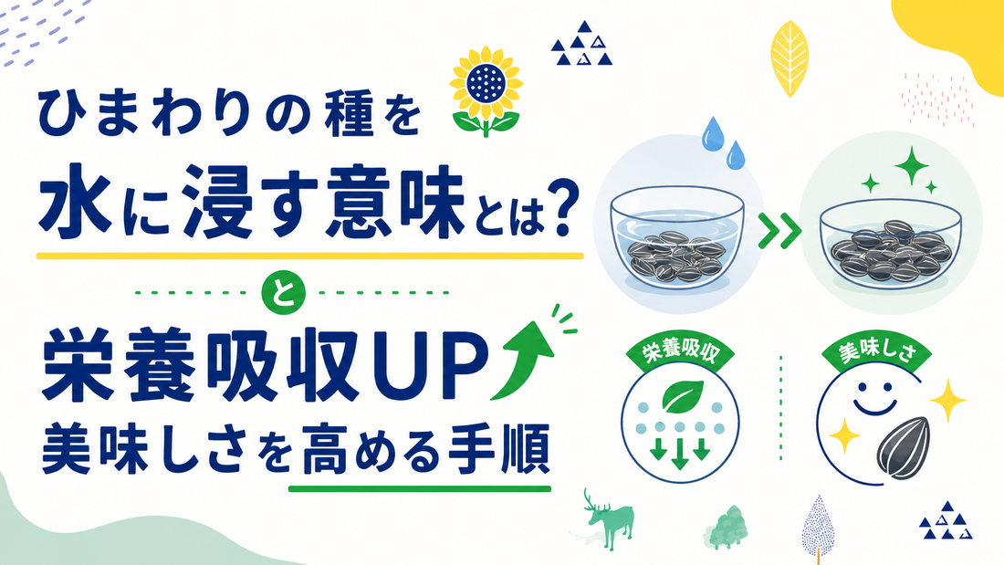 ひまわりの種を水に浸す意味とは？栄養吸収と美味しさを高める手順