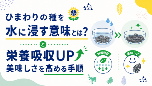 ひまわりの種を水に浸す意味とは？栄養吸収と美味しさを高める手順