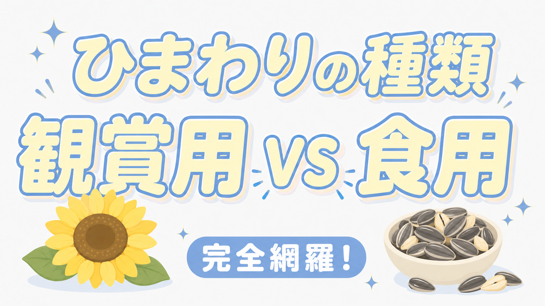 ひまわりの種類を完全網羅！観賞用と食用の決定的な違いと選び方
