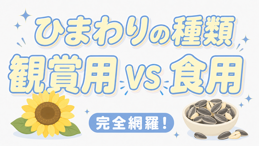 ひまわりの種類を完全網羅！観賞用と食用の決定的な違いと選び方