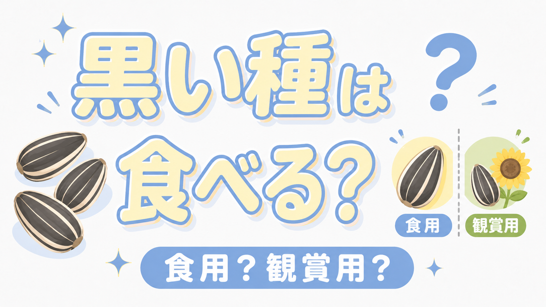 ひまわりの種「黒」は食用？観賞用との決定的な違いと安全な選び方