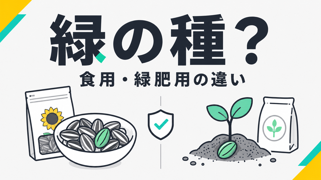 ひまわりの種が緑色？食用と緑肥用の決定的な違いと安全基準