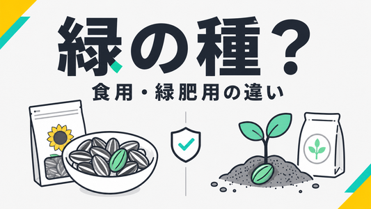 ひまわりの種が緑色？食用と緑肥用の決定的な違いと安全基準