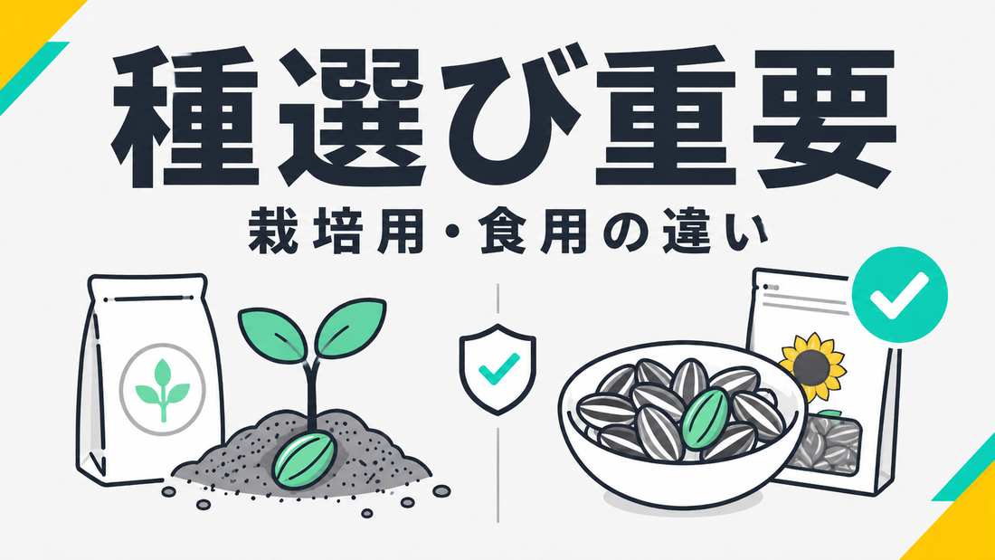 ひまわりの種栽培用と食用の決定的違い｜失敗しない種の選び方