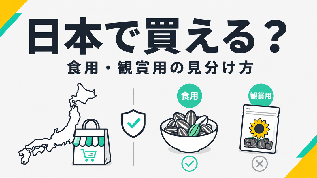 ひまわりの種は日本で買える？安全な食用と観賞用の見分け方