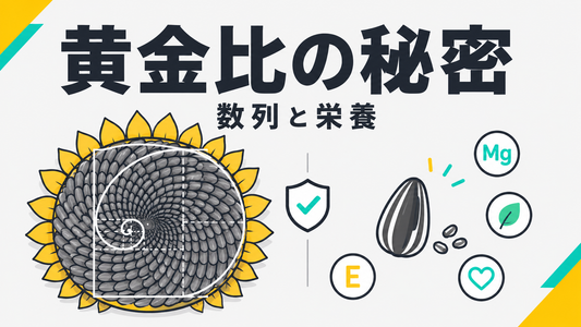ひまわりの種の数列：黄金比が作る螺旋の秘密と栄養の真実