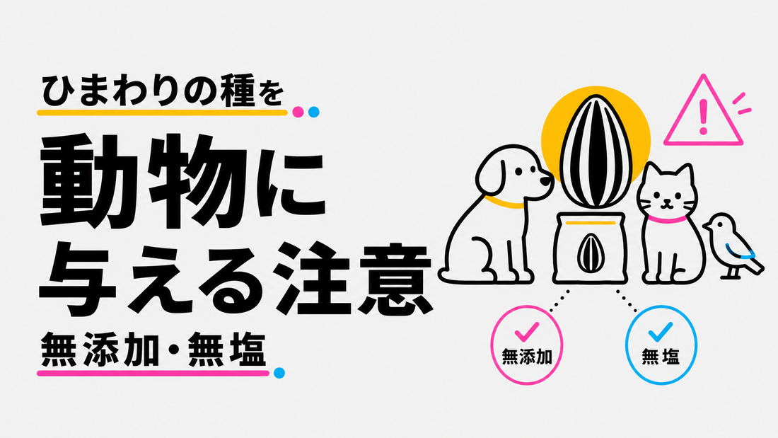 ひまわりの種を動物に与える際の注意点｜無添加・無塩が必須の理由
