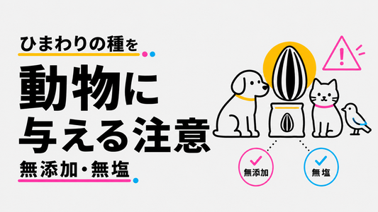 ひまわりの種を動物に与える際の注意点｜無添加・無塩が必須の理由