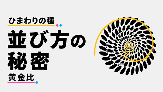 ひまわりの種の並び方と黄金比の秘密｜自然界の神秘を解き明かす