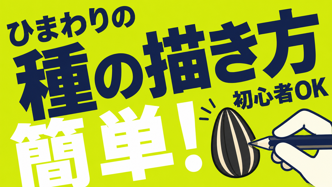 ひまわりの種を簡単に描くコツ！イラスト初心者でも可愛く仕上げる手