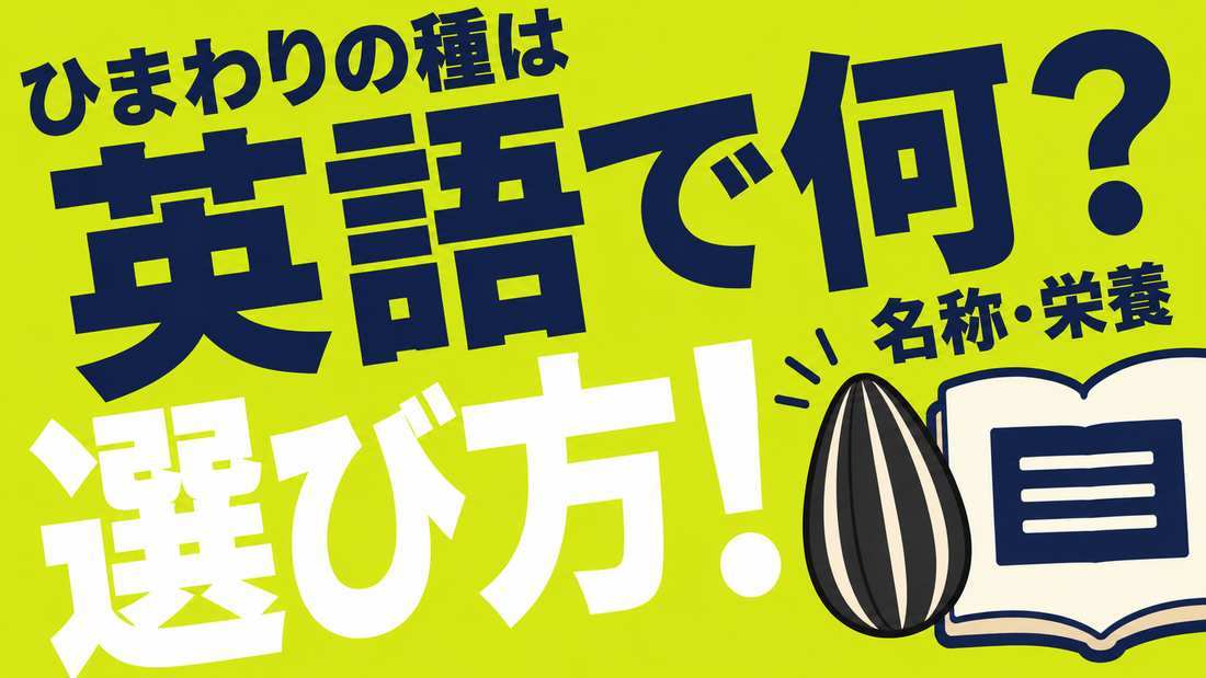 ヒマワリの種は英語で何？正しい名称と栄養価を活かす選び方
